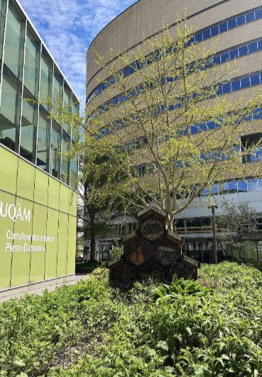 Photo sur le campus des sciences de l'UQAM